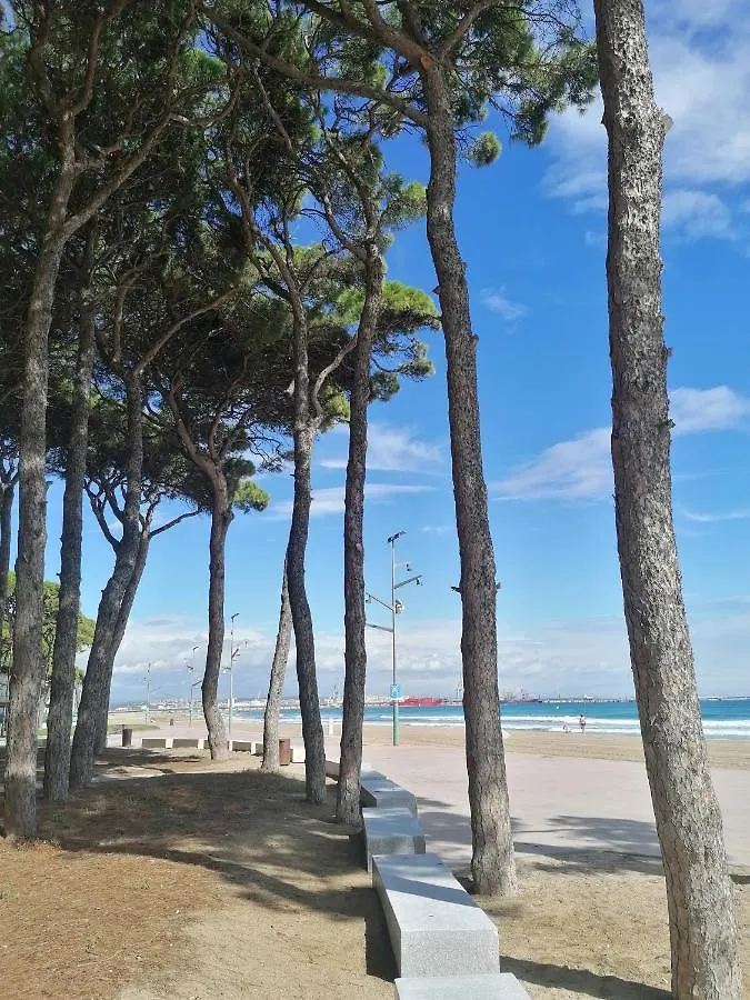 Daire Apartamento 1A Linea Playa La Pineda Y 5 Min Port Aventura